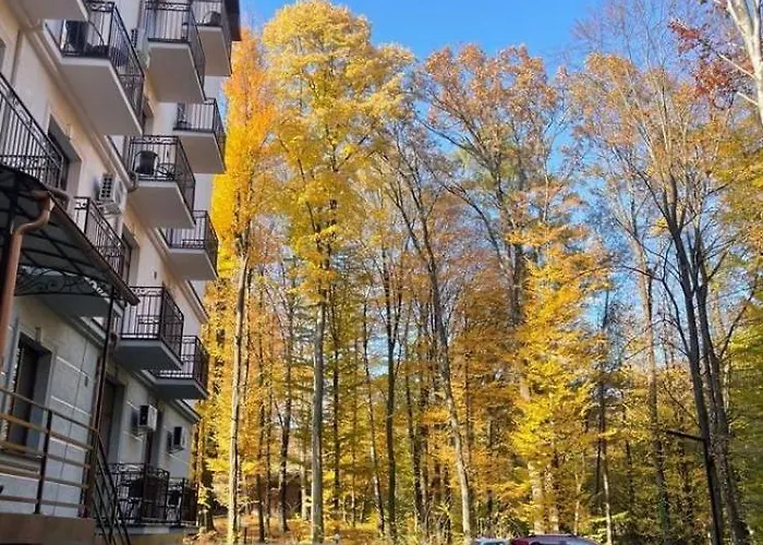 Apartman в карпатах
