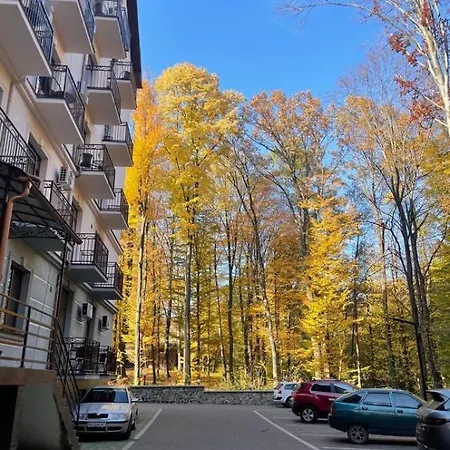 Daire в карпатах